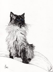Bambino, 2008 da Vincent Alexander Booth